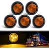 Amber 5PCS